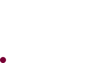 Logo Hub France IA Blanc